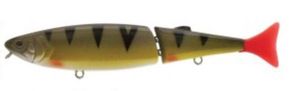 Lures Illex Freddy Cat Walk 170 Perche