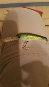 Lures Caperlan barn 60 7grs 