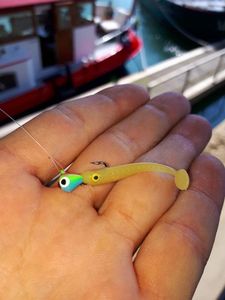 Lures null UL Shad White Diesel