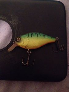 Lures Ilex Cranckbait