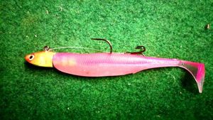 Lures Biwaa Fishing Performance leurre biwaa rose 