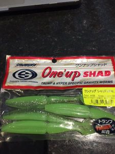 Lures Sawamura One Up Shad 5"