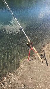 Rods null Madcat Cast King