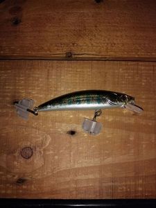 Lures Sakura phoxy minnow 85S truite