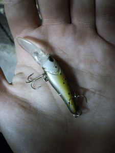 Lures Caperlan barn 40