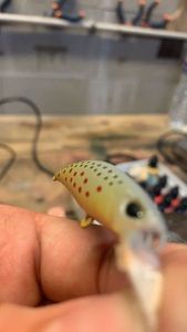 Lures null Trout lure AMSTP