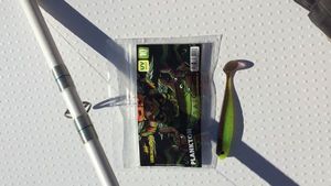 Lures Lieblingsköder Shad
