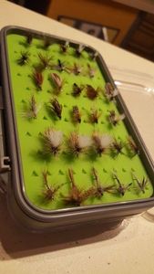 Flies null Sedges, éphémère 