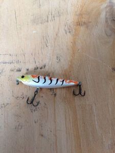 Lures Suxxes Stickbait