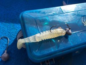 Lures Delalande Skeletton