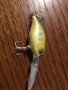 Lures null Poisson Nageur