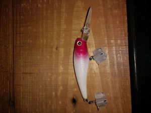 Lures Caperlan minnow 6-7 