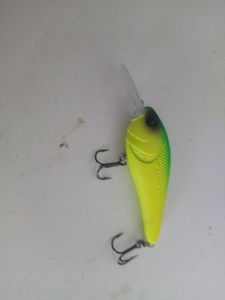 Lures null 1