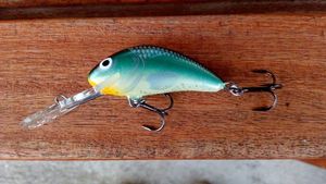 Lures Salmo Hornet 5 S Black Silver Shad