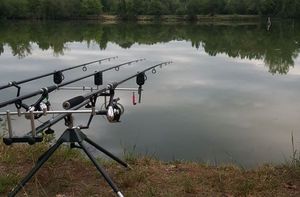 Rods null mondial pêche