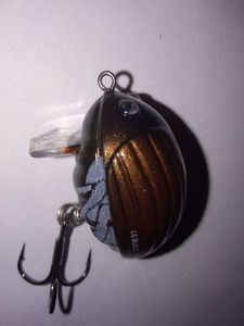 Lures Salmo lil'bug 3