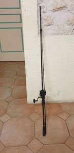 Rods Daiwa Daiwa rz lure 