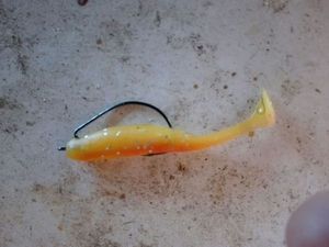 Baits & Additives Caperlan natori 75mm