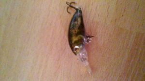 Lures Caperlan caperlan 3-f