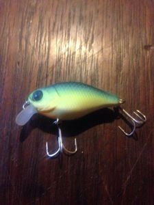 Lures Illex Chumby