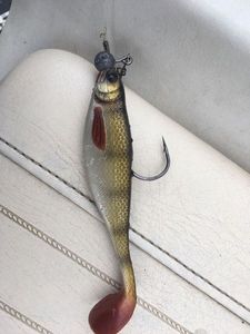Lures Westin ?