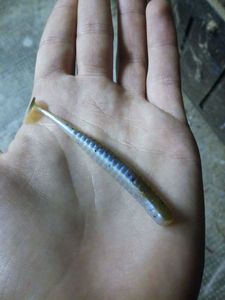 Lures null jsp