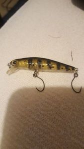 Lures River2Sea Baby Minnow 50 F