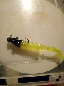 Lures Delalande skeleton vert et noir