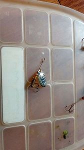 Lures Caperlan cuillère normale type 2 argenté