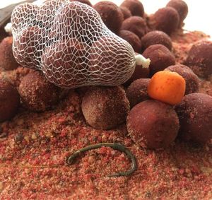 Baits & Additives Dynamite Baits The Sources 14mm