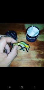 Lures Megabass Type-X