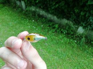 Lures VMC Gecko