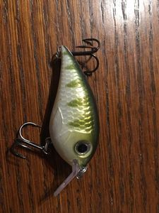 Lures Rapala Poisson Nageur