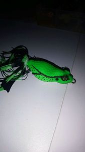 Lures null frog