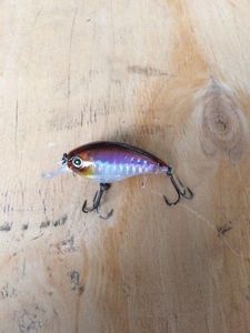 Lures Yo-Zuri 3DS Crank