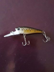 Lures Caperlan Barn 40 - Truite