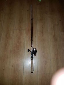 Rods Daiwa ninja