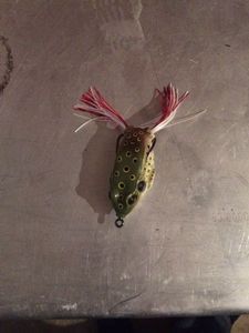 Lures null Frog