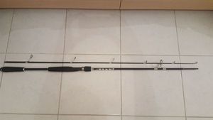 Rods Caperlan Axion SW 210 xh