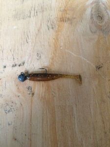 Lures Caperlan Shad