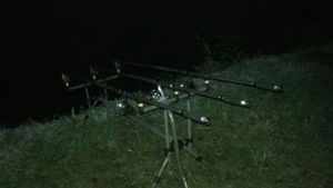 Rods red fish canne à carpe red fish carpe360