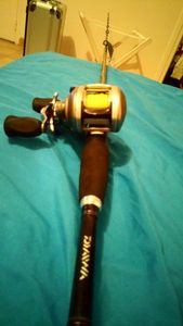 Rods Daiwa Casting