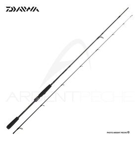 Rods Daiwa SPINNING DAIWA PROREX AGS 24