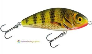 Lures Salmo Salmo fatso floating 10cm