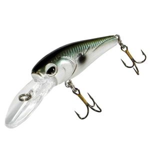 Lures Caperlan Barn 40 Ayu