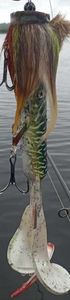Lures null Miuras ram beked 39 et trailer dunck dancer 
