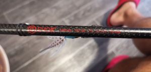 Rods null Daiwa