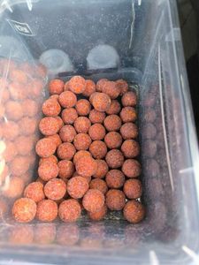 Baits & Additives Gerard Violine