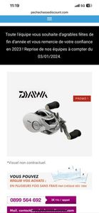 Reels Daiwa Daiwa 100PL