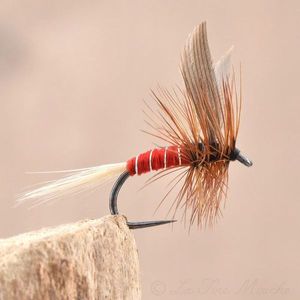 Flies Mouches de Charette La rouge (red spinner)